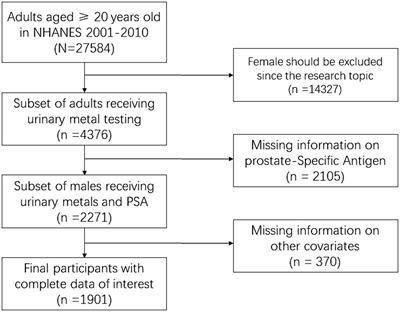 Association between urinary metals and prostate-specific antigen in aging population with depression: a cross-sectional study